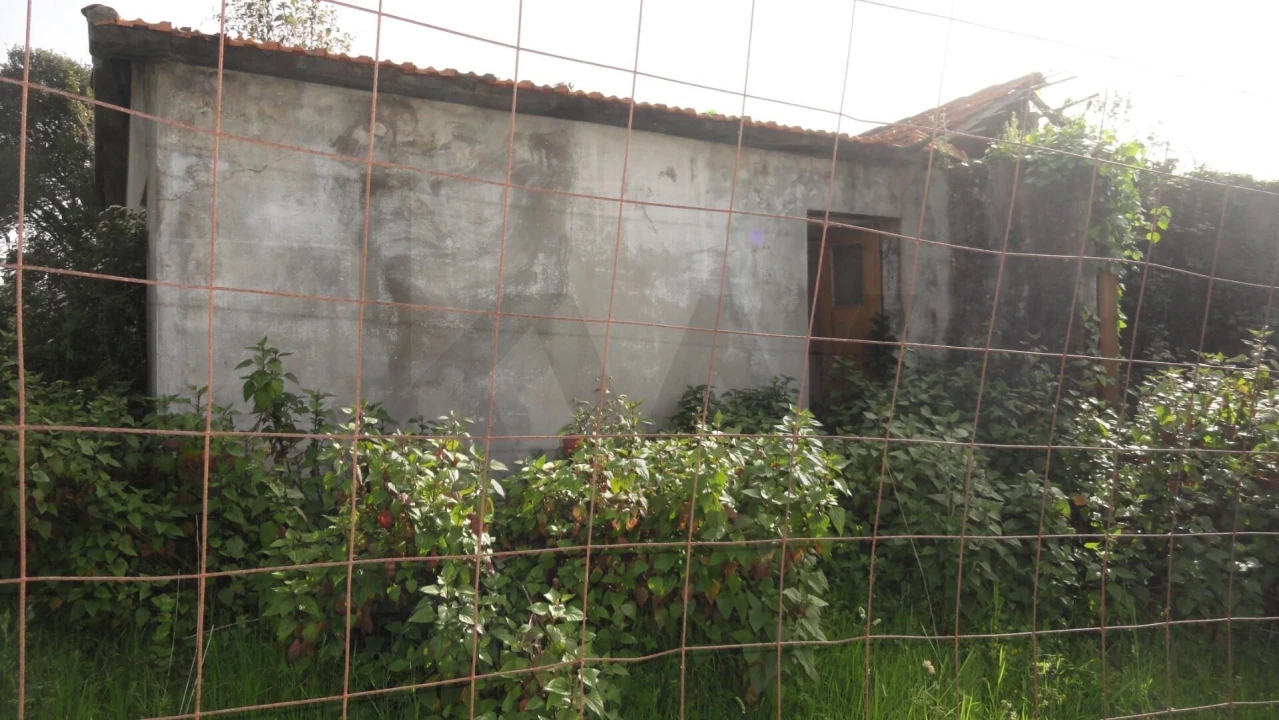 Armazém para Venda em Santa Maria de Lamas Foto 19
