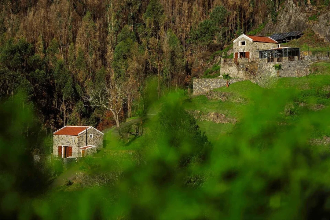 Moradia T2 para Venda em Serra de Agua Foto 6