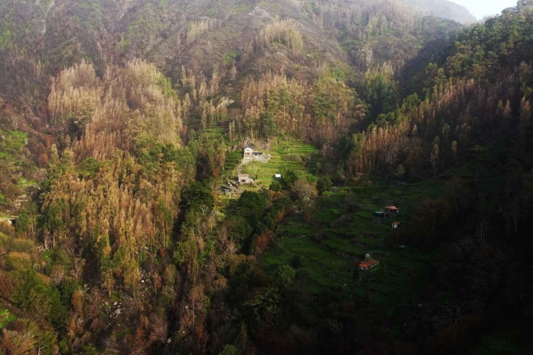 Moradia T2 para Venda em Serra de Agua Foto 24