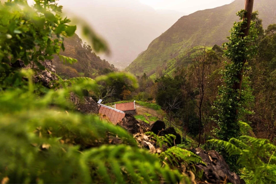 Moradia T2 para Venda em Serra de Agua Foto 17
