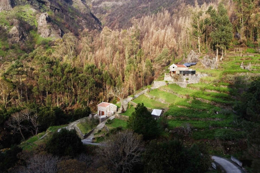 Moradia T2 para Venda em Serra de Agua Foto 25