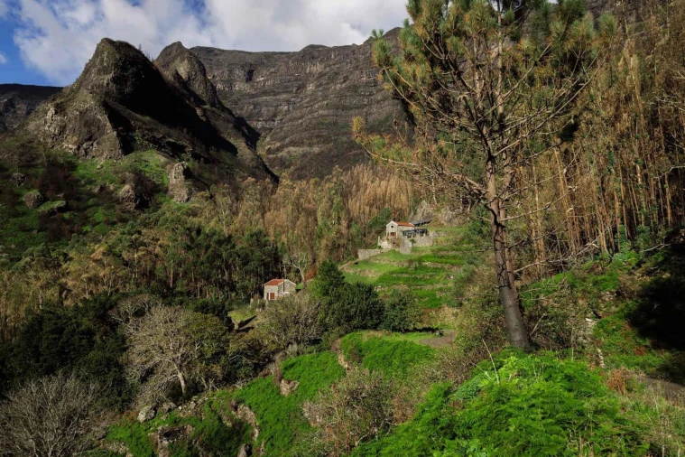 Moradia T2 para Venda em Serra de Agua Foto 59