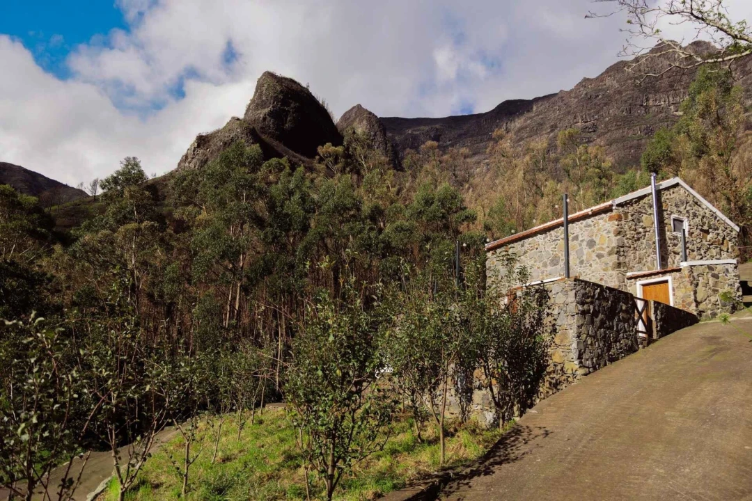 Moradia T2 para Venda em Serra de Agua Foto 62