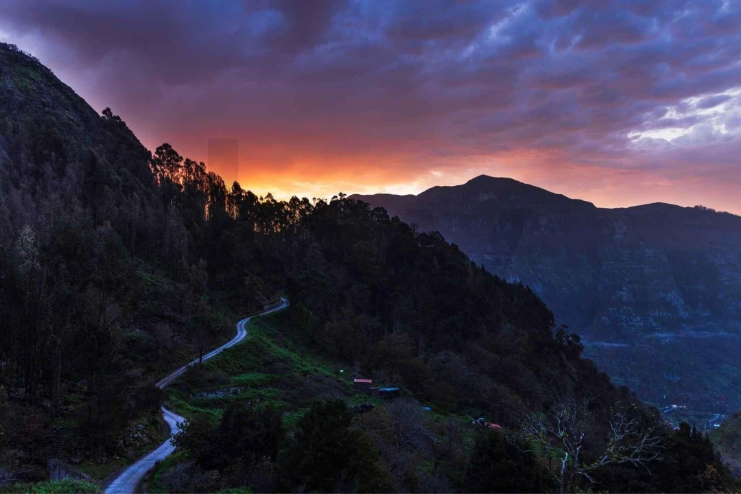 Moradia T2 para Venda em Serra de Agua Foto 4