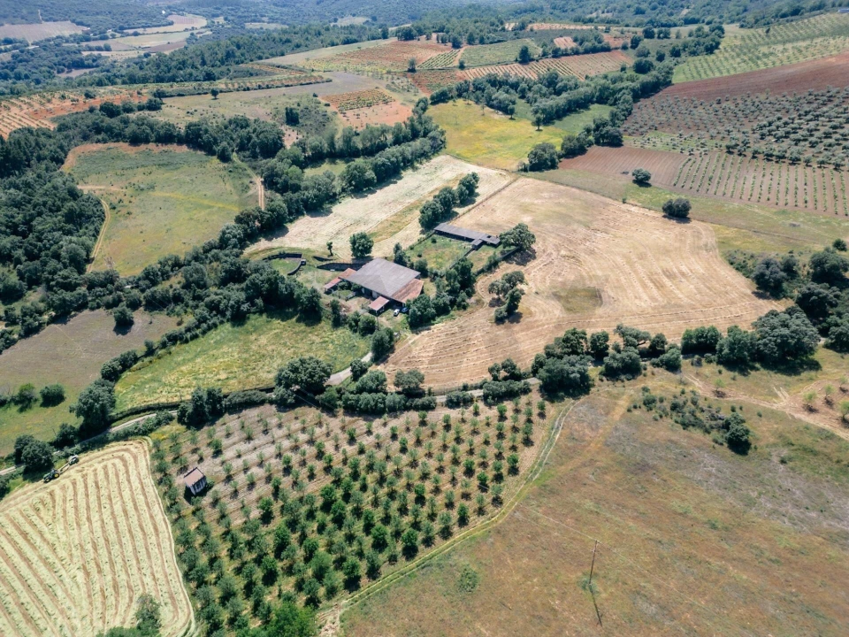 Quinta T5 para Venda em Talhinhas e Bagueixe Foto 99