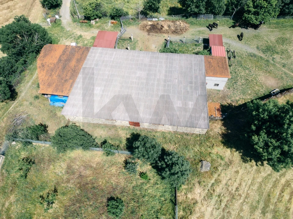Quinta T5 para Venda em Talhinhas e Bagueixe Foto 103