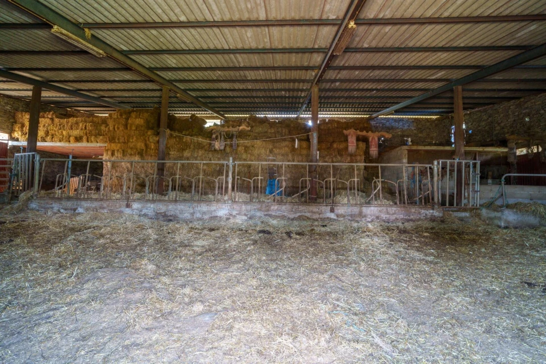 Quinta T5 para Venda em Talhinhas e Bagueixe Foto 109