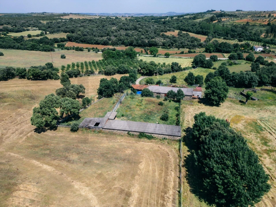 Quinta T5 para Venda em Talhinhas e Bagueixe Foto 102