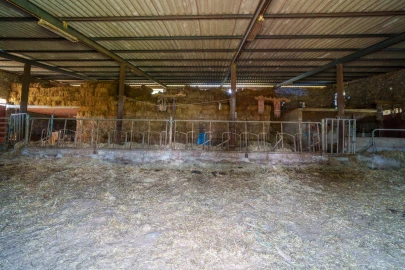 Quinta T5 para Venda em Talhinhas e Bagueixe