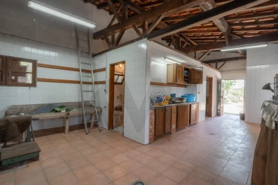 Quinta T5 para Venda em Talhinhas e Bagueixe