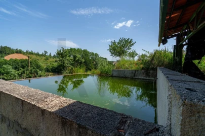 Quinta T5 para Venda em Talhinhas e Bagueixe