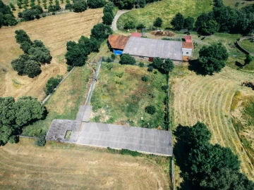 Quinta T5 para Venda em Talhinhas e Bagueixe