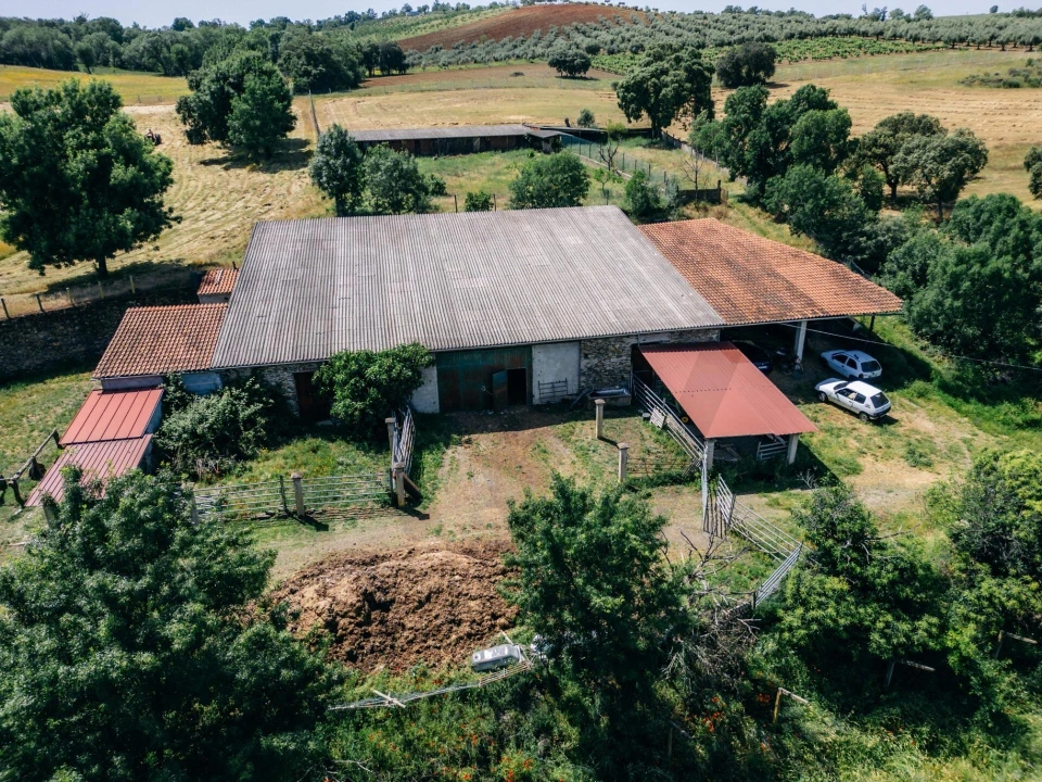 Quinta T5 para Venda em Talhinhas e Bagueixe Foto 104