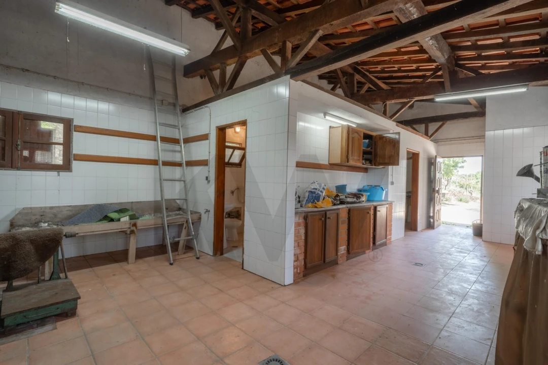 Quinta T5 para Venda em Talhinhas e Bagueixe Foto 65