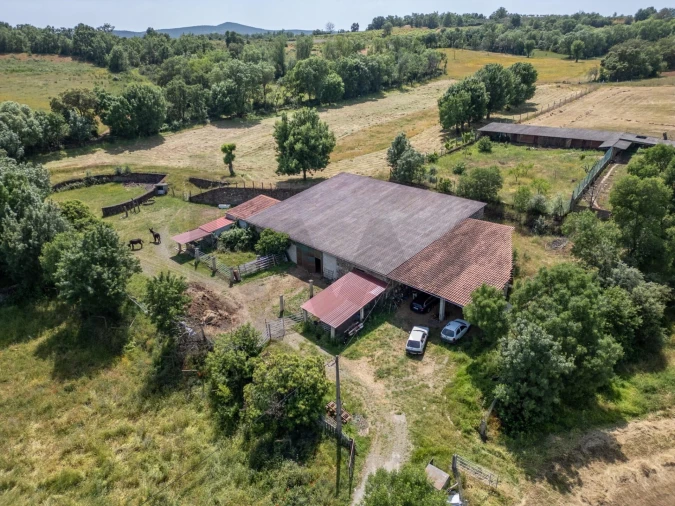 Quinta T5 para Venda em Talhinhas e Bagueixe Foto 84