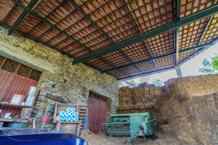 Quinta T5 para Venda em Talhinhas e Bagueixe Foto 91