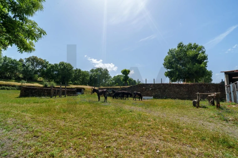 Quinta T5 para Venda em Talhinhas e Bagueixe Foto 94
