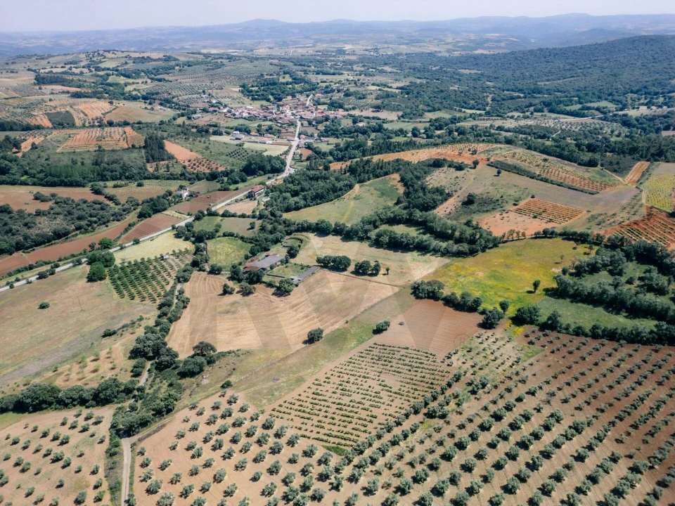 Quinta T5 para Venda em Talhinhas e Bagueixe Foto 74