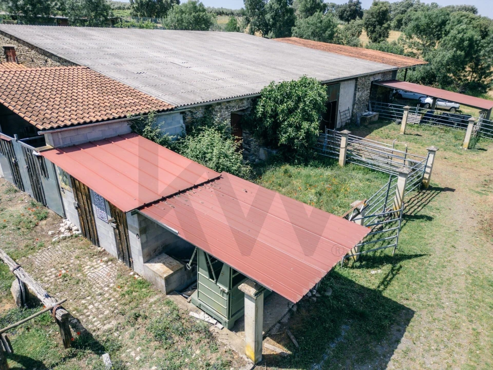 Quinta T5 para Venda em Talhinhas e Bagueixe Foto 86