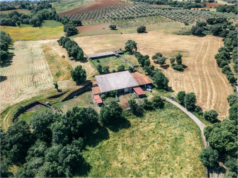 Quinta T5 para Venda em Talhinhas e Bagueixe Foto 85