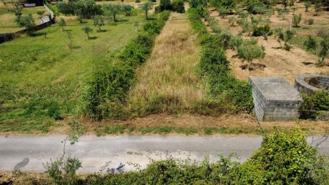 Terreno para Venda em Cernache do Bonjardim, Nesperal e Palhais