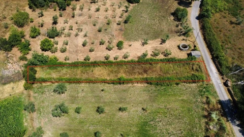 Terreno para Venda em Cernache do Bonjardim, Nesperal e Palhais