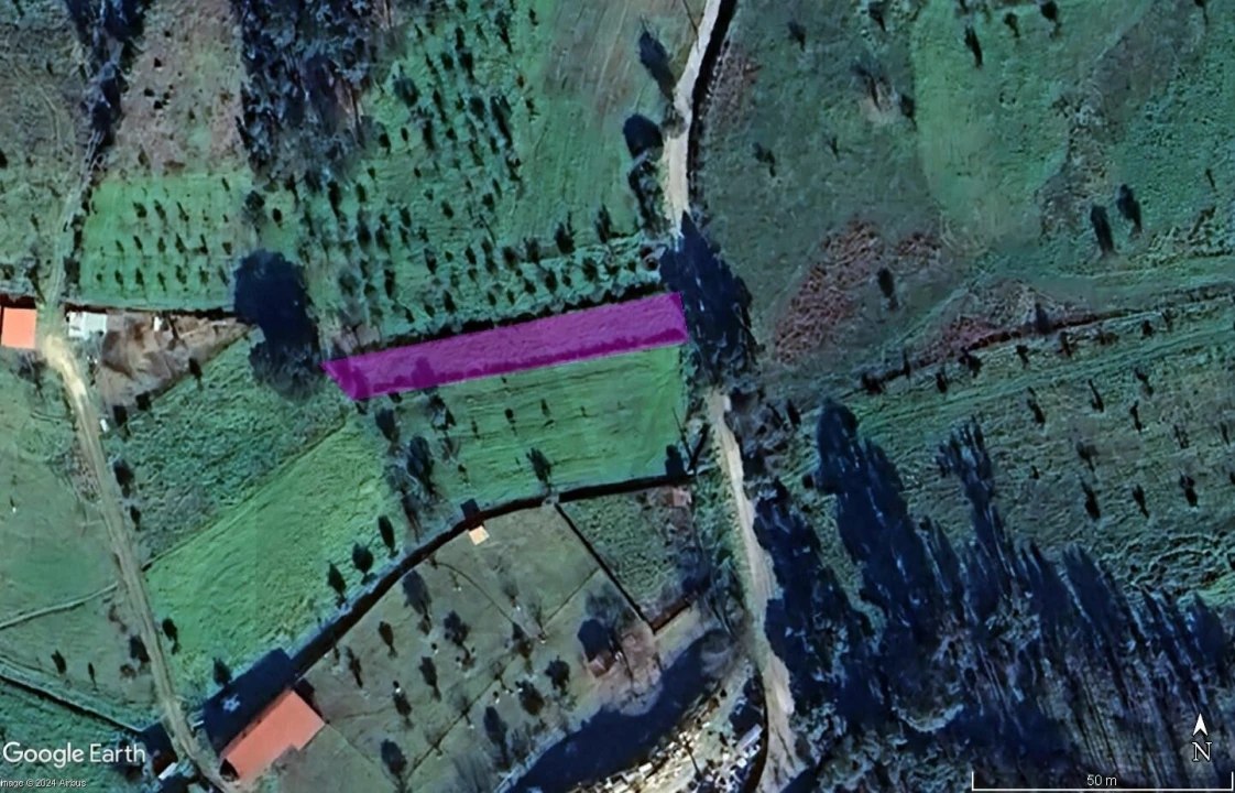 Terreno para Venda em Cernache do Bonjardim, Nesperal e Palhais Foto 4