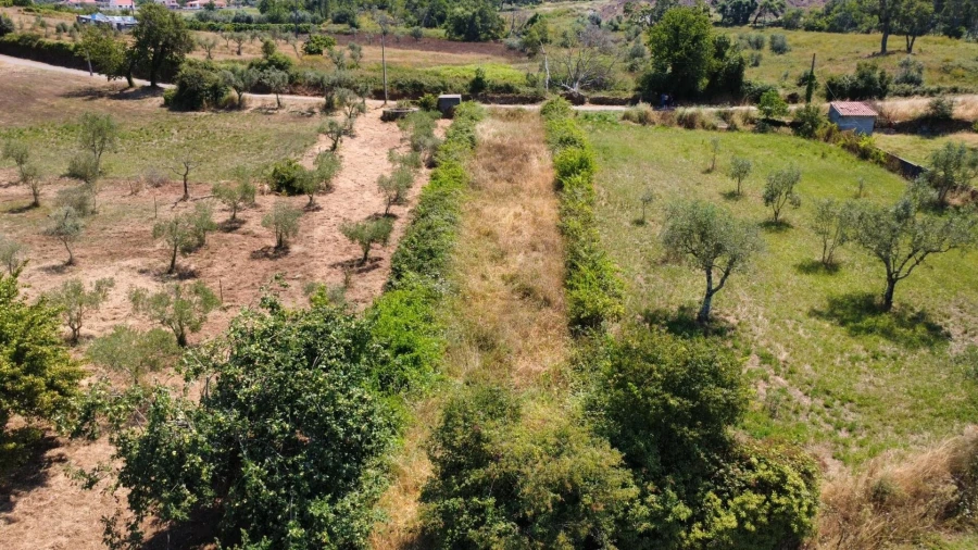 Terreno para Venda em Cernache do Bonjardim, Nesperal e Palhais Foto 2