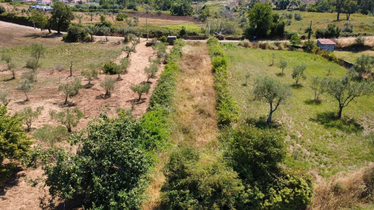 Terreno para Venda em Cernache do Bonjardim, Nesperal e Palhais Foto 2