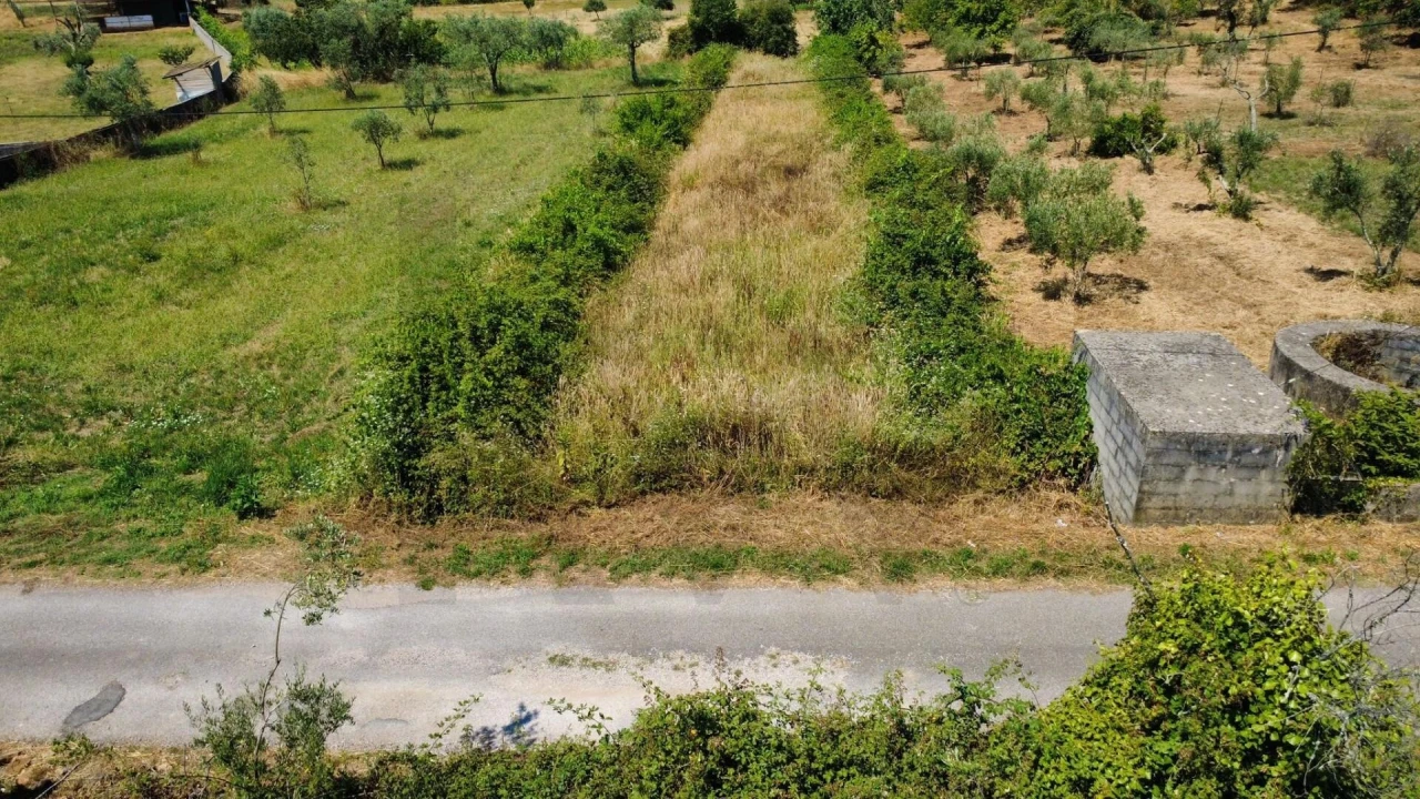 Terreno para Venda em Cernache do Bonjardim, Nesperal e Palhais Foto 1