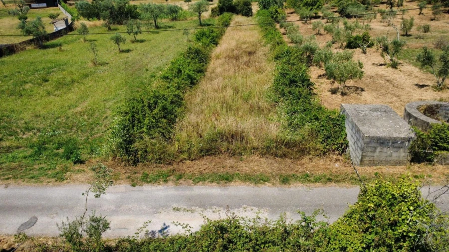 Terreno para Venda em Cernache do Bonjardim, Nesperal e Palhais