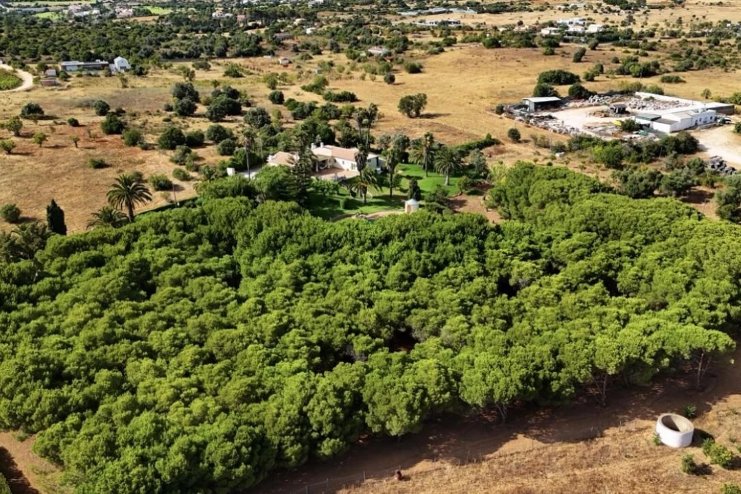Moradia T4 para Venda em Lagoa e Carvoeiro Foto 2