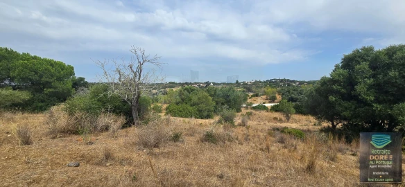 Negócio para Venda em Porches