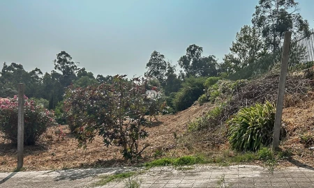 Terreno para Venda em Delães