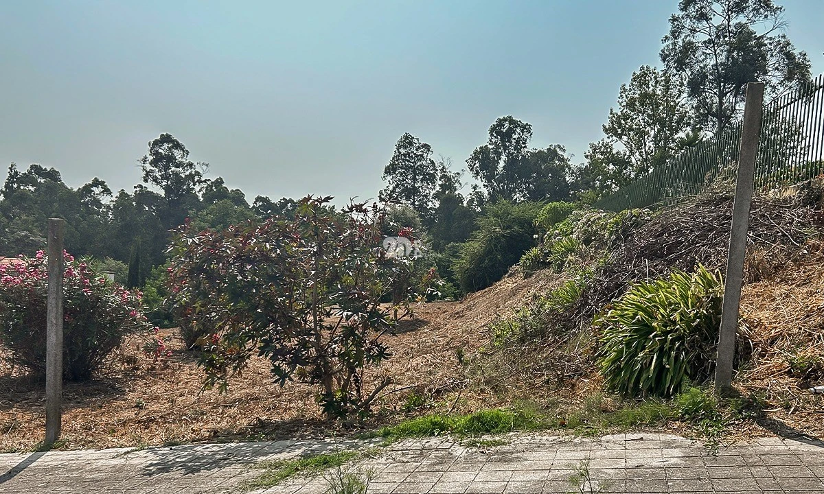 Terreno para Venda em Delães Foto 3