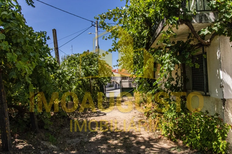 Moradia T4 para Venda em Ruvina, Ruivós e Vale das Éguas Foto 24