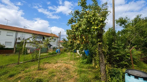 Apartamento T3 para Venda em Palmeira