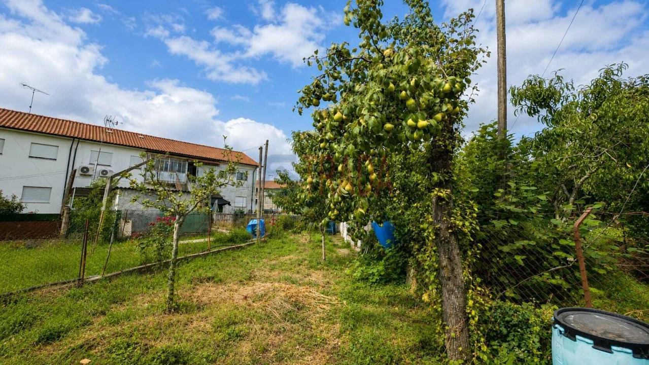 Apartamento T3 para Venda em Palmeira Foto 14