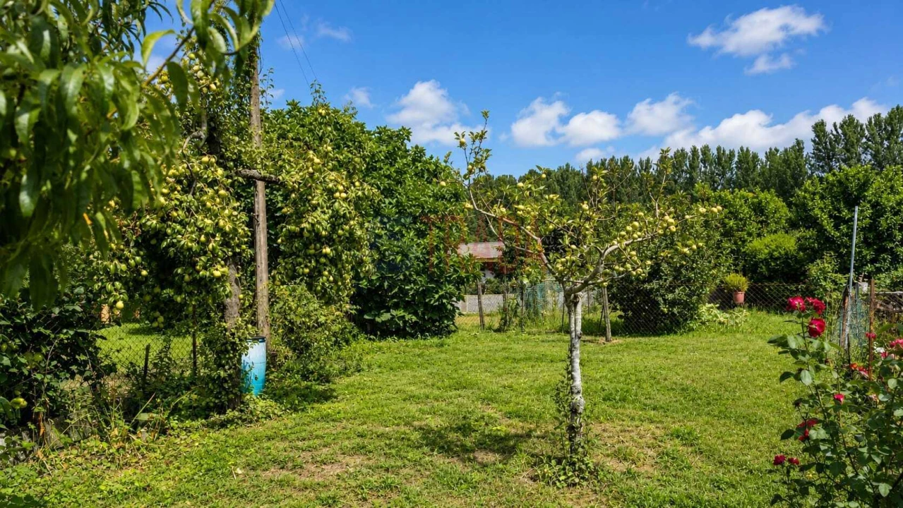 Apartamento T3 para Venda em Palmeira Foto 15