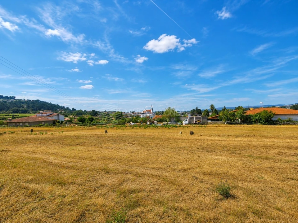 Terreno Agricola ou Rústico para Venda em Rebordões Foto 2