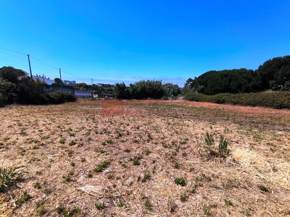 Terreno para Venda em Ericeira Foto 5