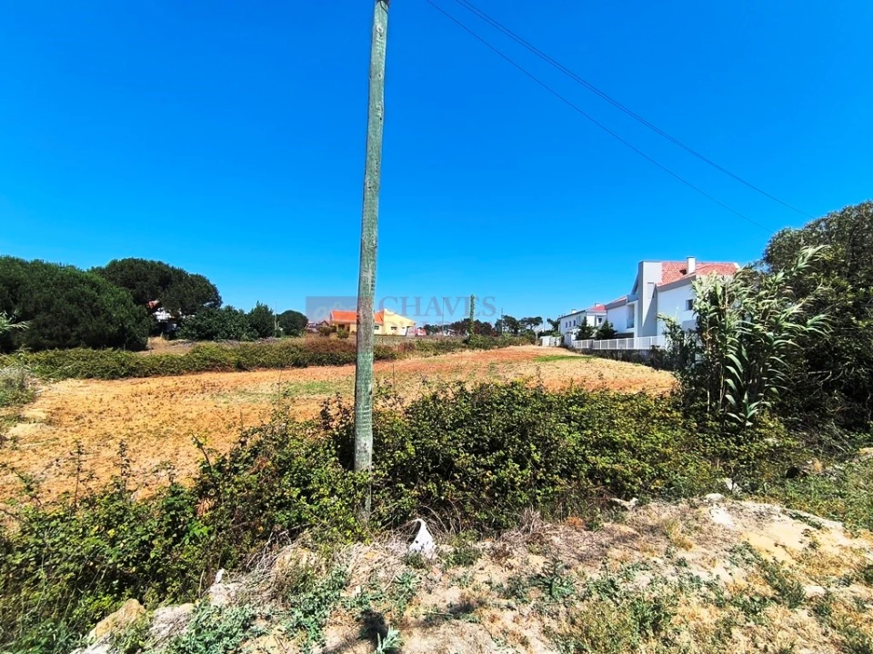 Terreno para Venda em Ericeira Foto 13