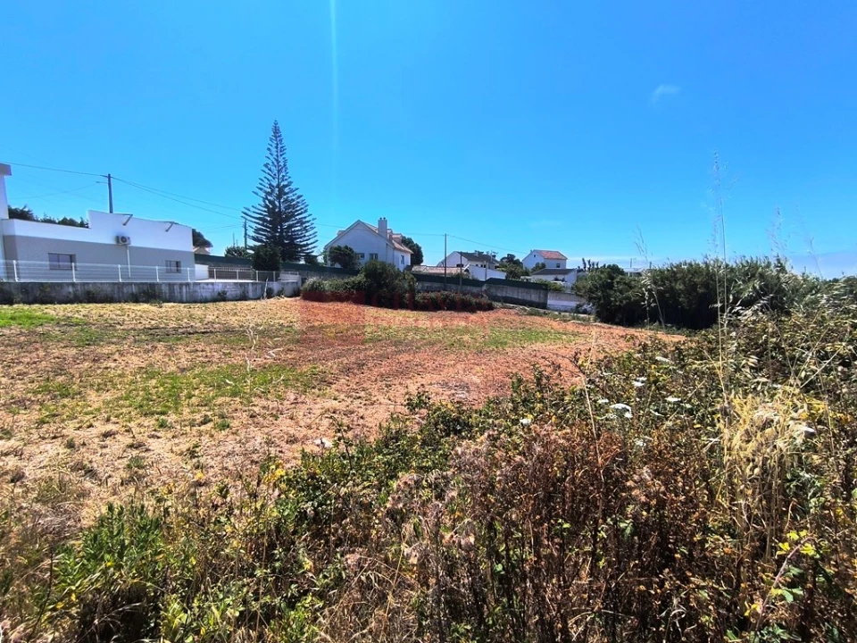 Terreno para Venda em Ericeira Foto 14