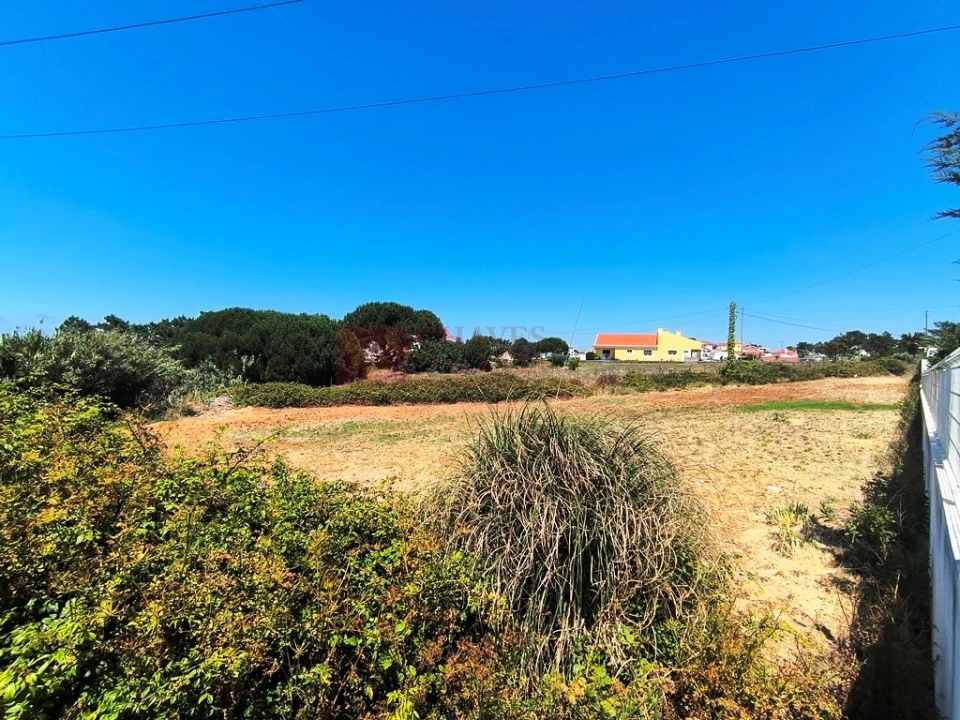 Terreno para Venda em Ericeira Foto 15