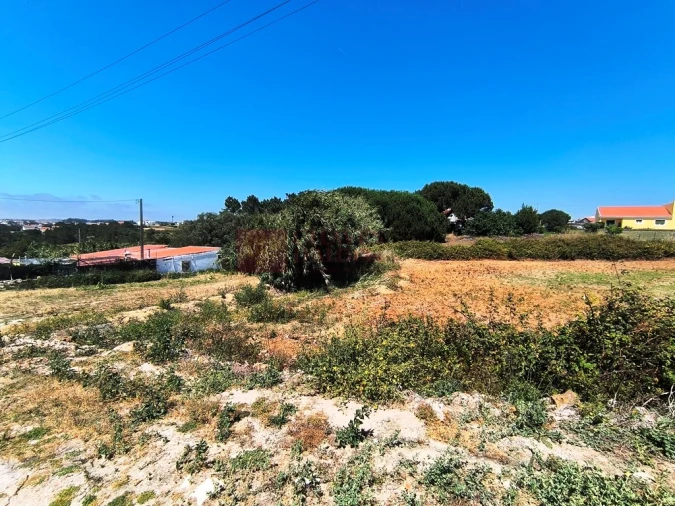 Terreno para Venda em Ericeira Foto 12