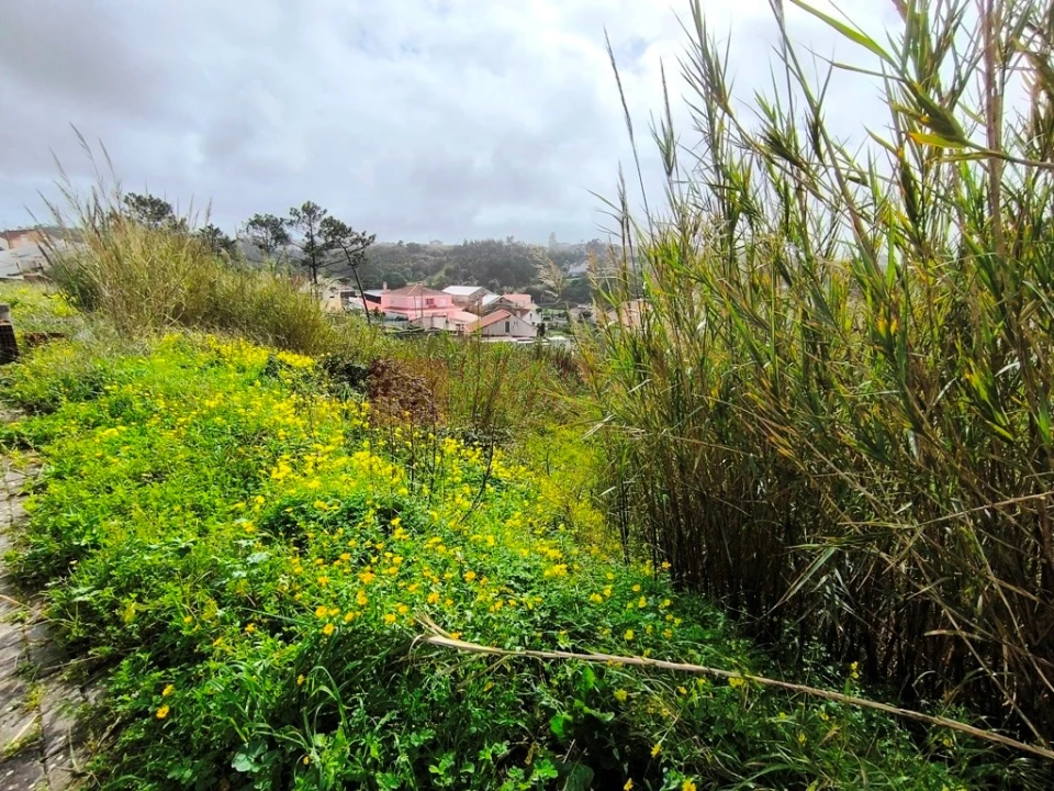 Terreno para Venda em Ericeira Foto 12
