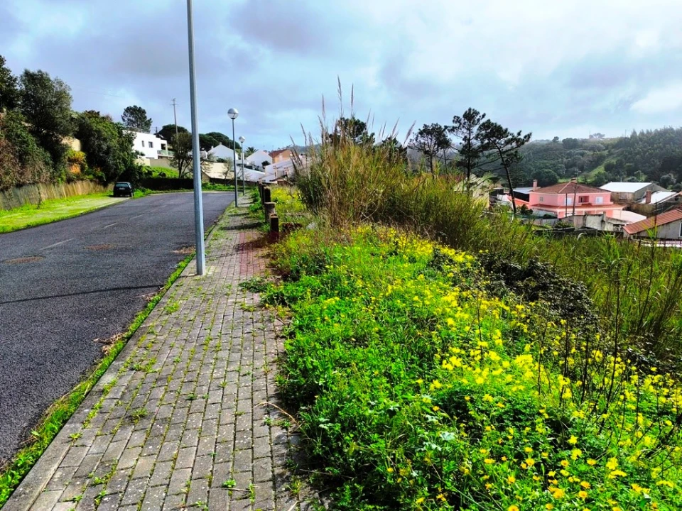 Terreno para Venda em Ericeira Foto 13