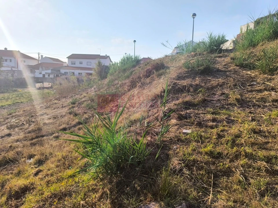 Terreno para Venda em Ericeira Foto 18