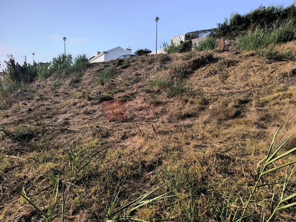 Terreno para Venda em Ericeira Foto 19