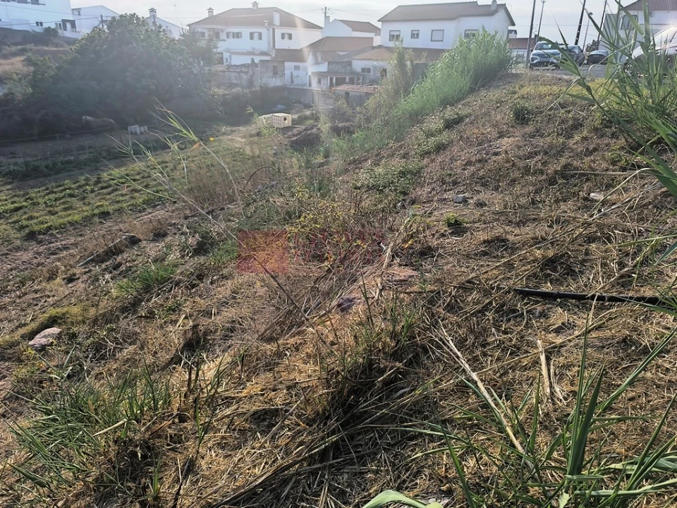 Terreno para Venda em Ericeira Foto 21